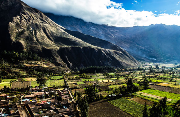 Andean Partner Food